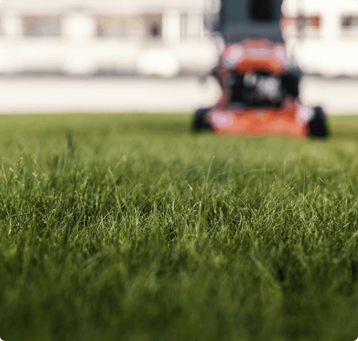 Gartenpflege, die Ihre Grünflächen lebendig hält