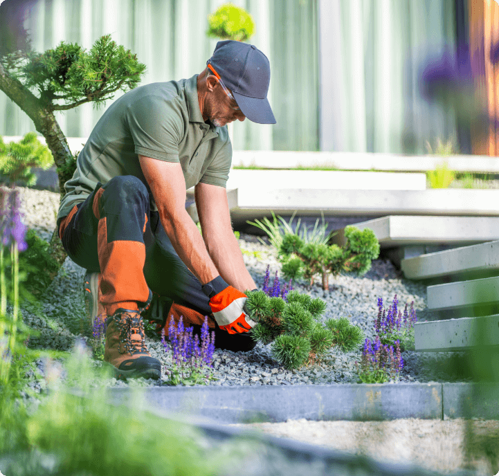 Gartengestaltung mit Liebe zum Detail